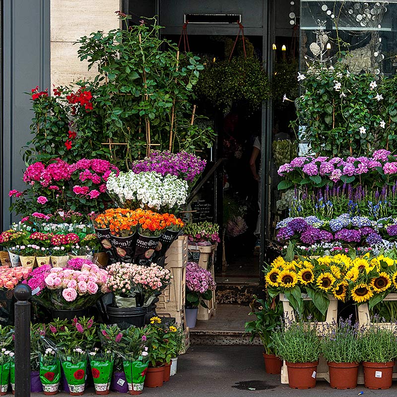 Flower shops add to the delightful experience of strolling along Paris streets. Photo by Midale35/Flickr 