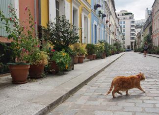 Rue Cremieux is one of the prettiest streets in Paris, thanks to its pastel-colored townhouses and cobblestones.