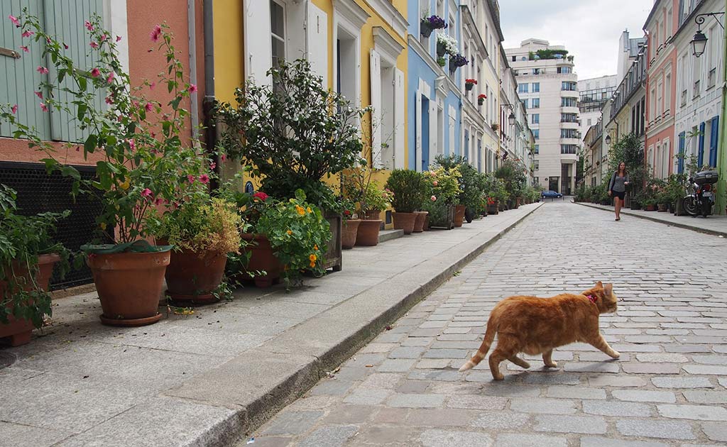 Rue Cremieux is one of the prettiest streets in Paris, thanks to its pastel-colored townhouses and cobblestones.