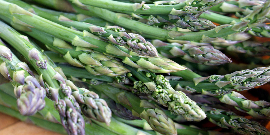 Growing asparagus requires reading a fertilizer label! It thrives with higher phosphate and potassium levels, so a 5-10-10 or 8-24-24 fertilizer should do well.