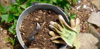 Fertilizer and gardening gloves