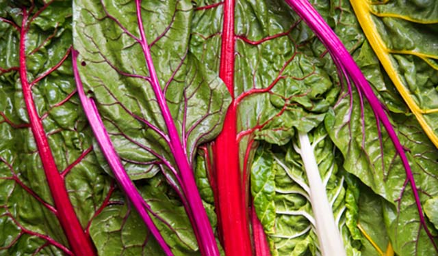 Rainbow swiss chard is one of the easy vegetables to grow