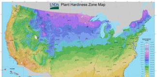 Knowing your planting zone can make the difference between growing plants that will thrive or die.