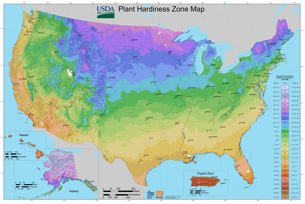 Knowing your planting zone can make the difference between growing plants that will thrive or die.
