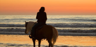 A beach horse ride tour is the best at sunset