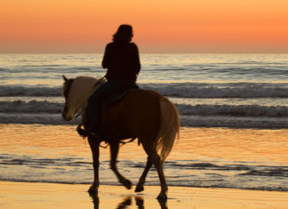 A beach horse ride tour is the best at sunset