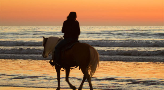 A beach horse ride tour is the best at sunset