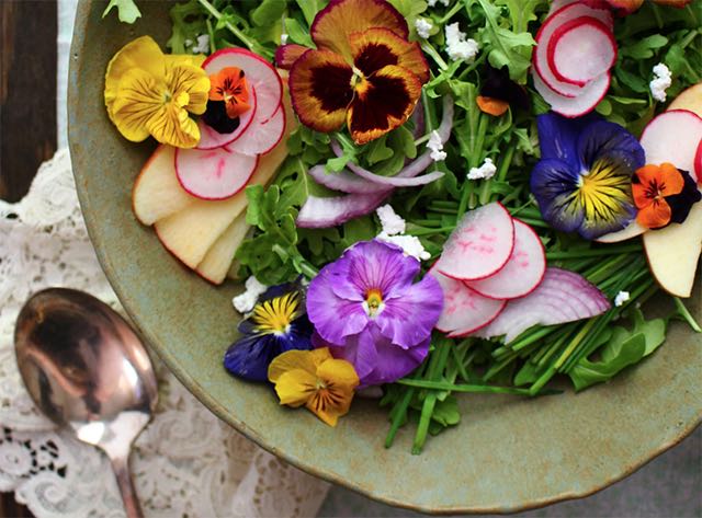 Edible flower recipes from HarvestandHoney