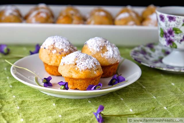 Edible flower recipes include these wild violet muffins