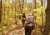 Horseback riding vacations can be in the woods