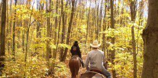 Horseback riding vacations can be in the woods