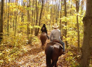 Horseback riding vacations can be in the woods