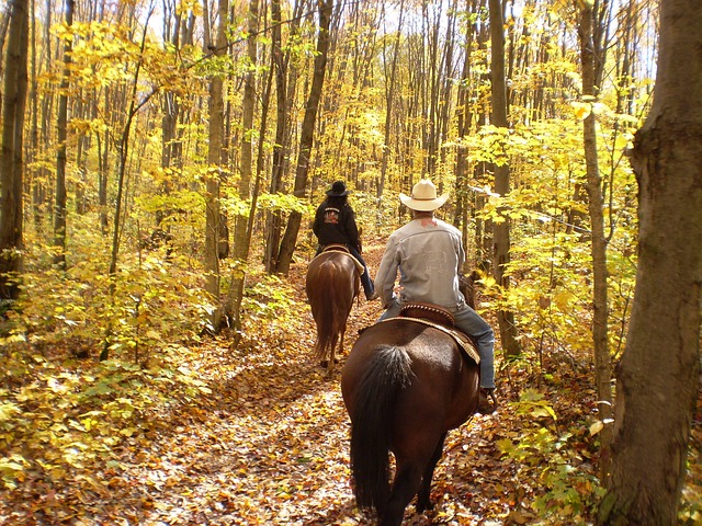 Horseback riding vacations can be in the woods